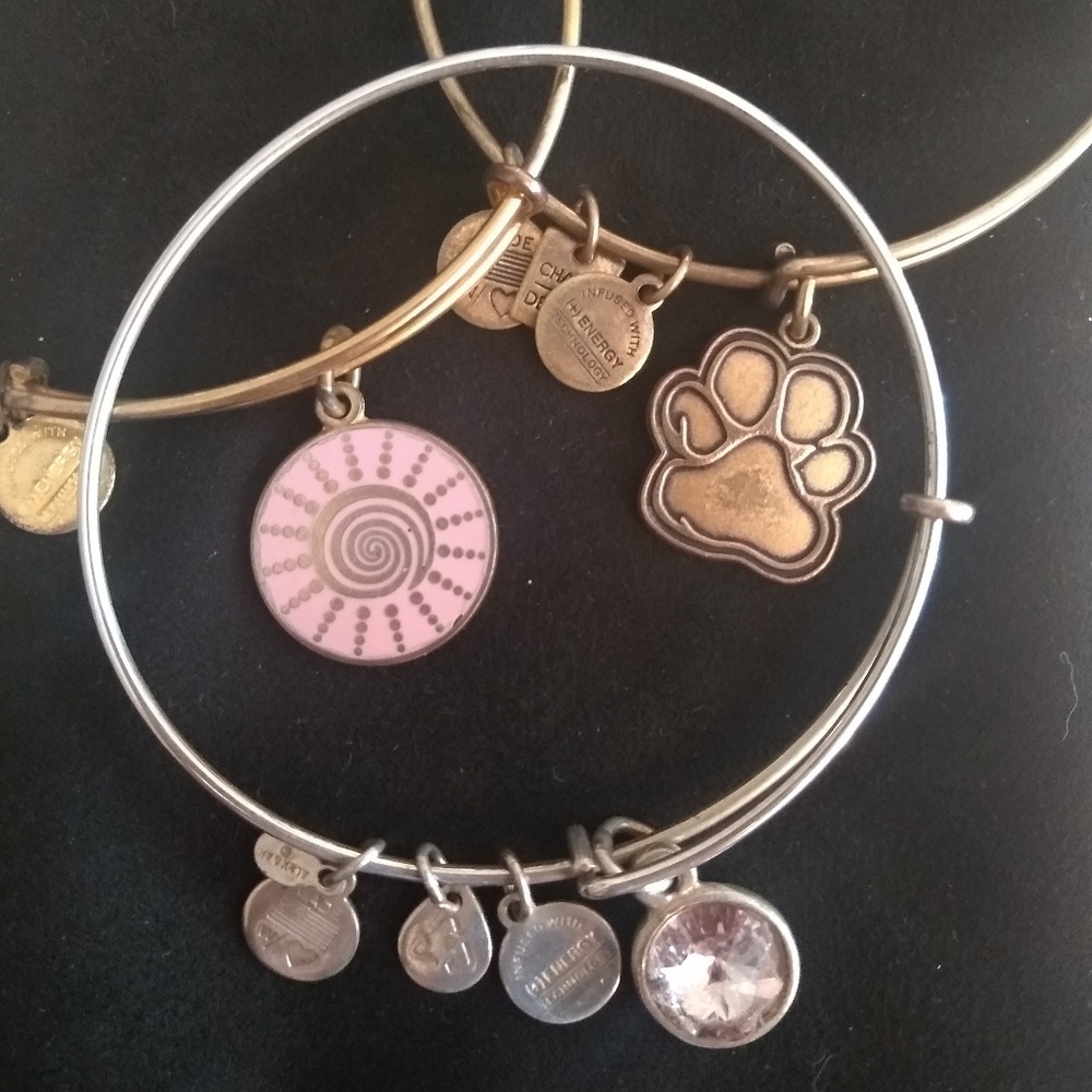 ALEX AND ANI Dangle Bangles